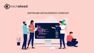 Software development company