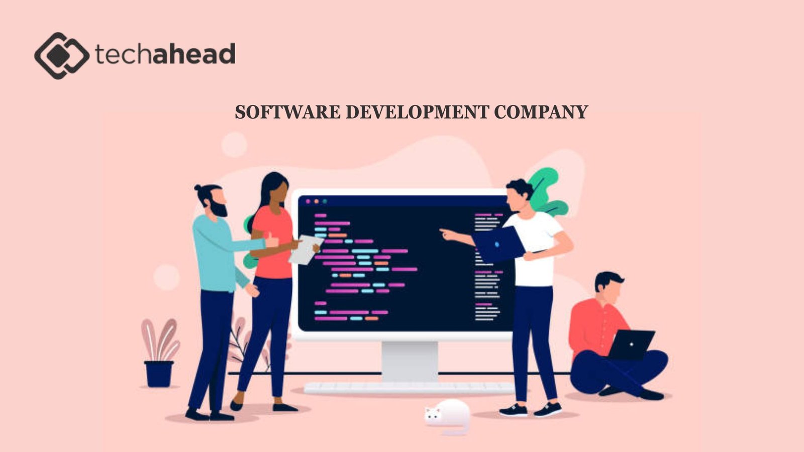 Software development company