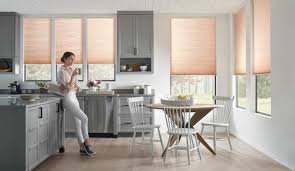 Automatic Window Shades and Blinds