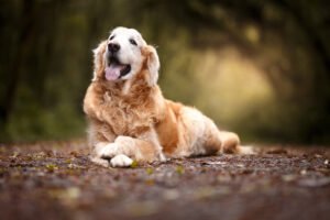 iStock-1052880600