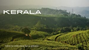 kerala holiday packages