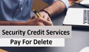 Pay Per Delete Credit Repair