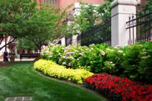 Commercial Landscaping Services in Swindon