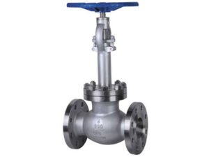 CRYOGENIC GLOBE VALVE