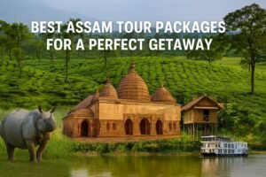 Best Assam Tour Packages for a Perfect Getaway