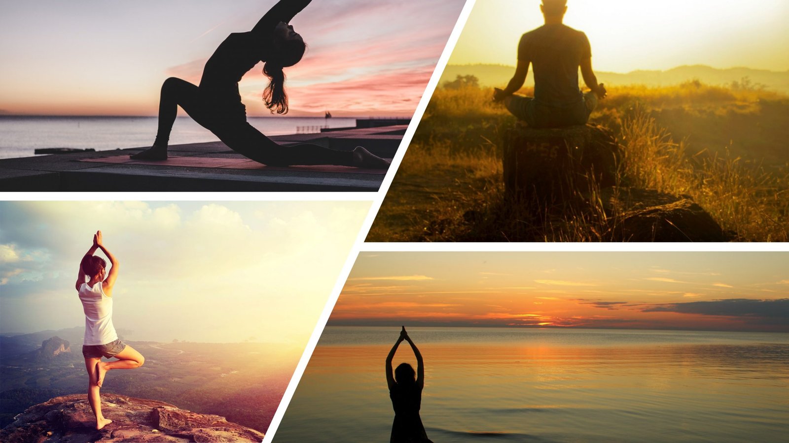 Health and Wellness