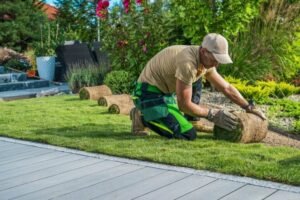Landscapers