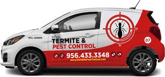 pest removal from attic