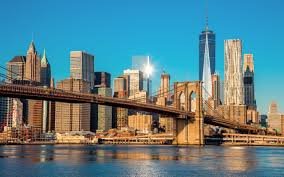 Real Estate Firms