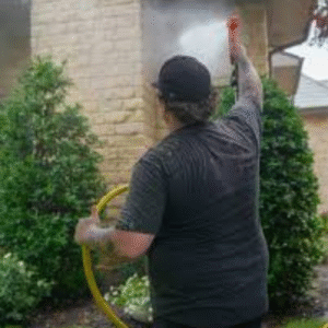 roof cleaning