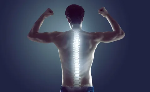 best spine doctors
