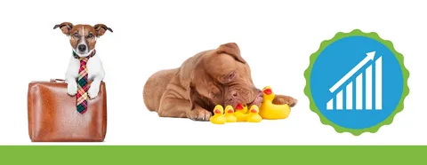 How to Franchise Your Pet Business Successfully