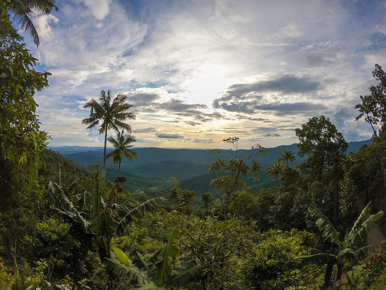 kerala india tours