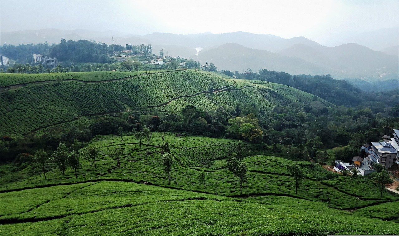 7 days kerala private tours