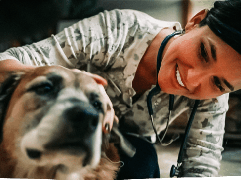 pet hospice