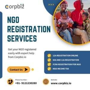 NGO Registration Services