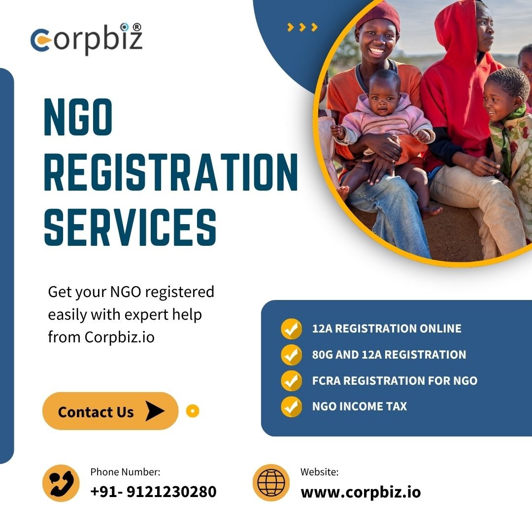 NGO Registration Services