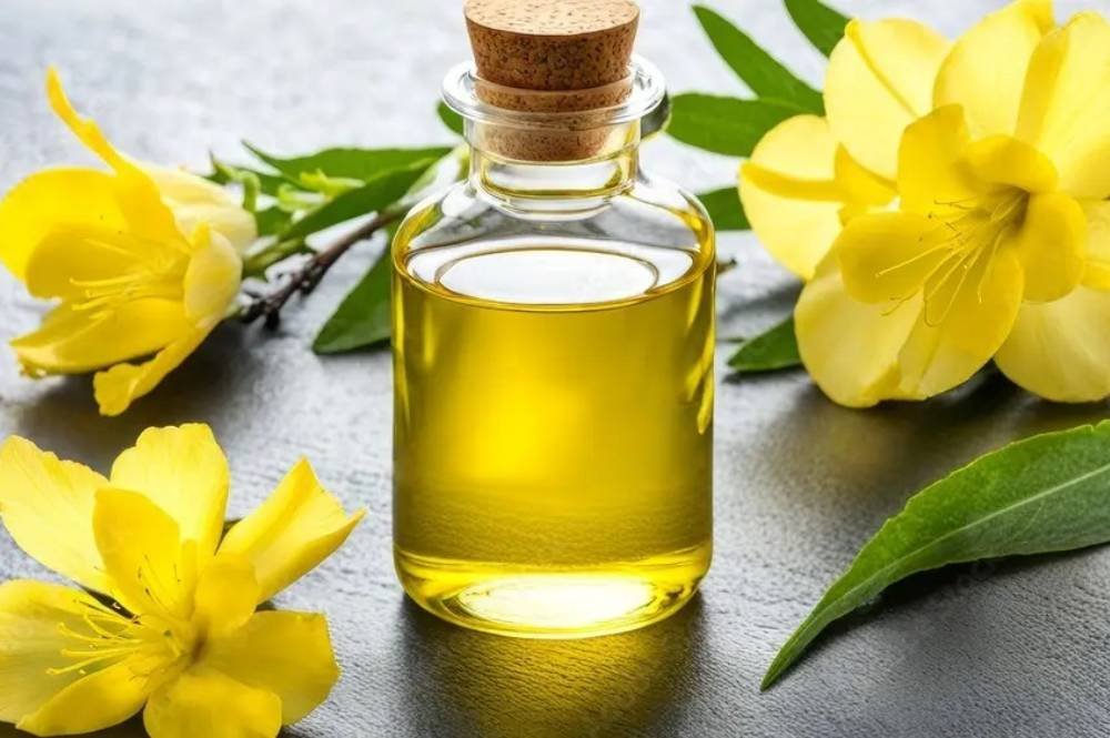 carrier oil bulk suppliers