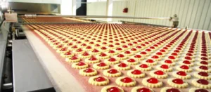 Conveyor Chain/Food Conveyor
