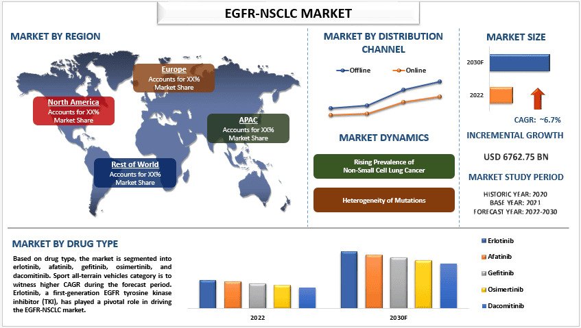 EGFR-NSCLC Market