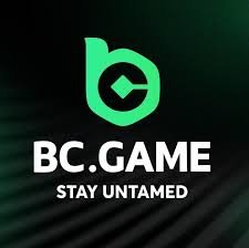 BC.Game Sign In Process A Comprehensive Guide -206065655