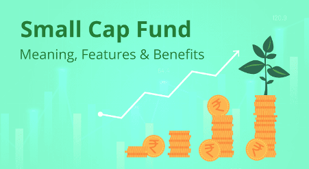 small cup fund