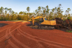 Clearing Overgrown Land Services