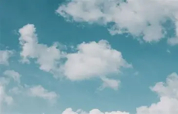 managed service provider