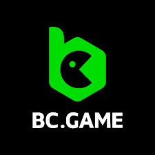 Comprehensive Support Guide for BC.Game Users