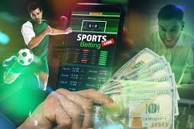 Experience the Thrill of Baji Online Cricket Betting 1130017767