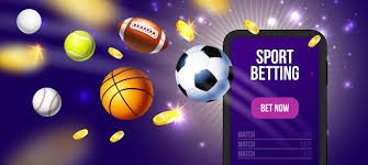 Experience the Thrill of Live Betting with Baji Bet Live