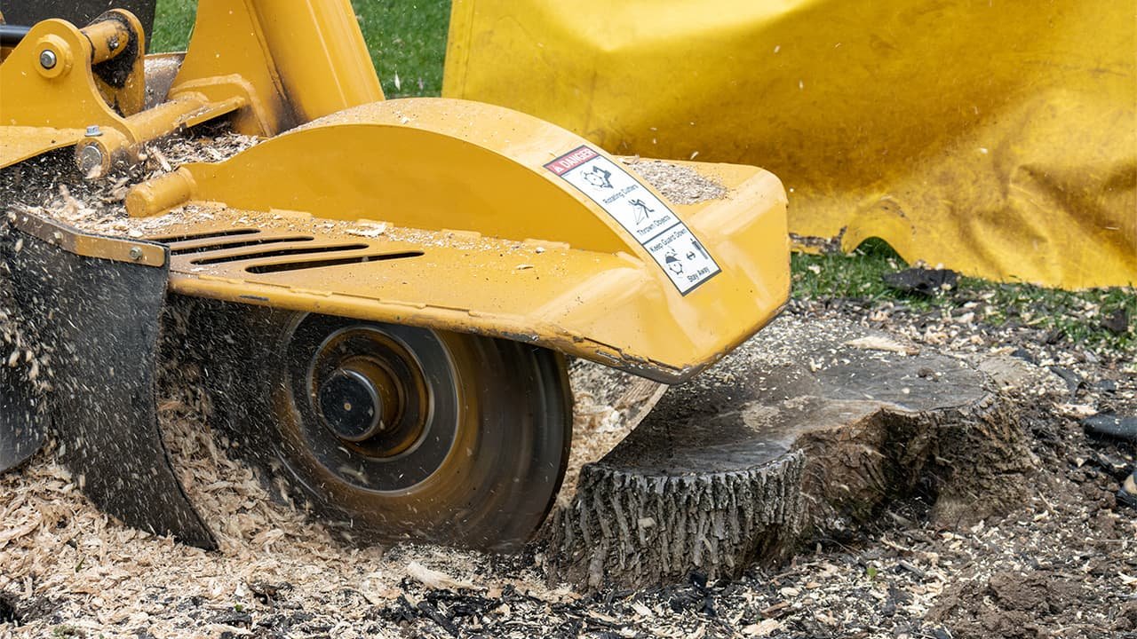 Stump Grinding