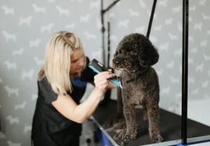 Dog Groomers