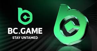 Experience the Thrill of BC.Game The Premier Online Crypto Casino