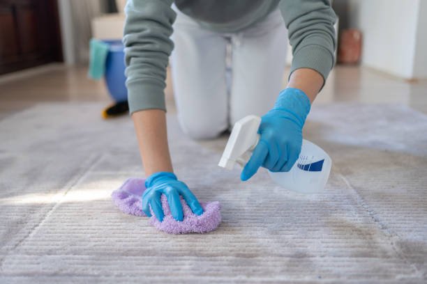 Carpet Cleaning Service Fairfax