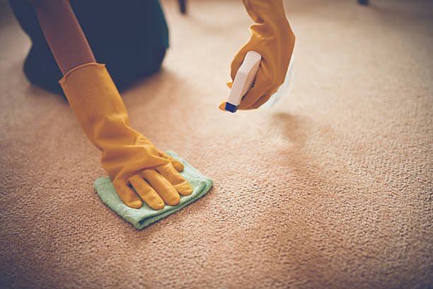 Carpet Cleaning Ashburn