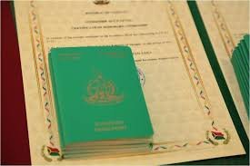 Understanding the Costs of a Vanuatu Passport A Comprehensive Guide 895875752