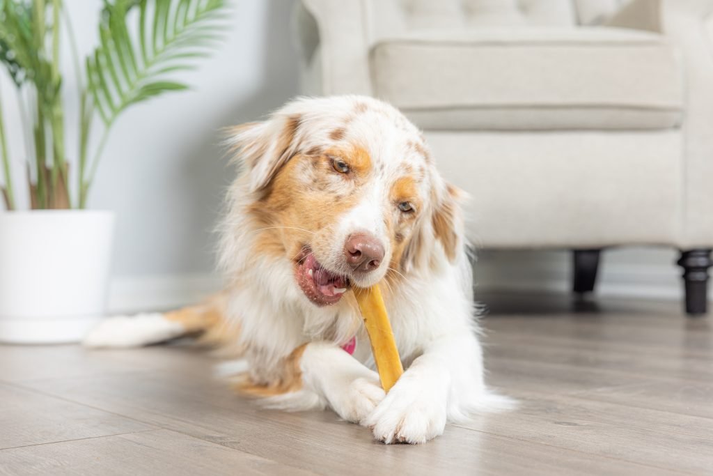 Yak Sticks for Dogs