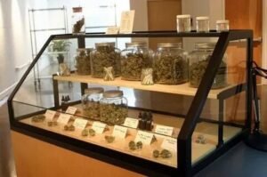 weed