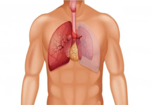 Thoracic Cancers