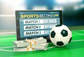 Experience the Excitement with Betwinner Your Ultimate Betting Partner