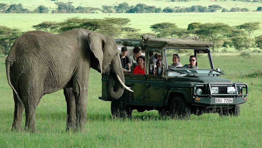 Kenya Safari Packages