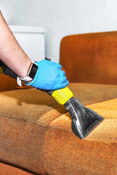 sofa cleaning