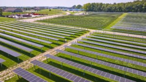 Solar Panels in a farm